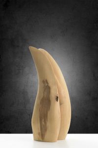 Ich stelle Skulpturen aus Holz her R&ouml;dermark - Dieter Knop - Holz-Kunst-Design